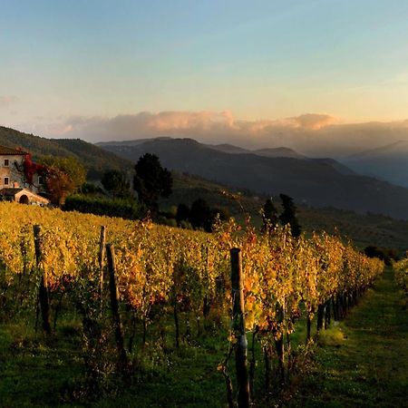 Agriturismo Fattoria Lavacchio Pontassieve Dış mekan fotoğraf