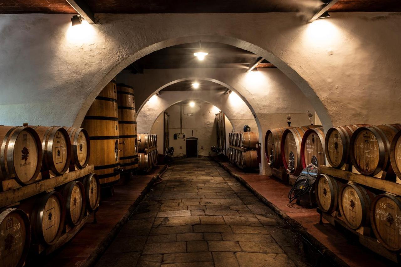 Agriturismo Fattoria Lavacchio Pontassieve Dış mekan fotoğraf
