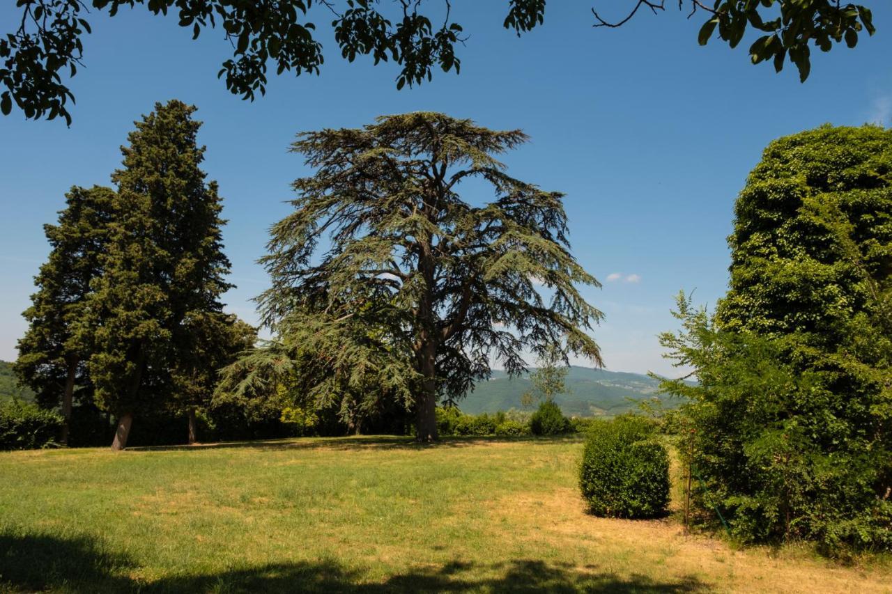 Agriturismo Fattoria Lavacchio Pontassieve Dış mekan fotoğraf