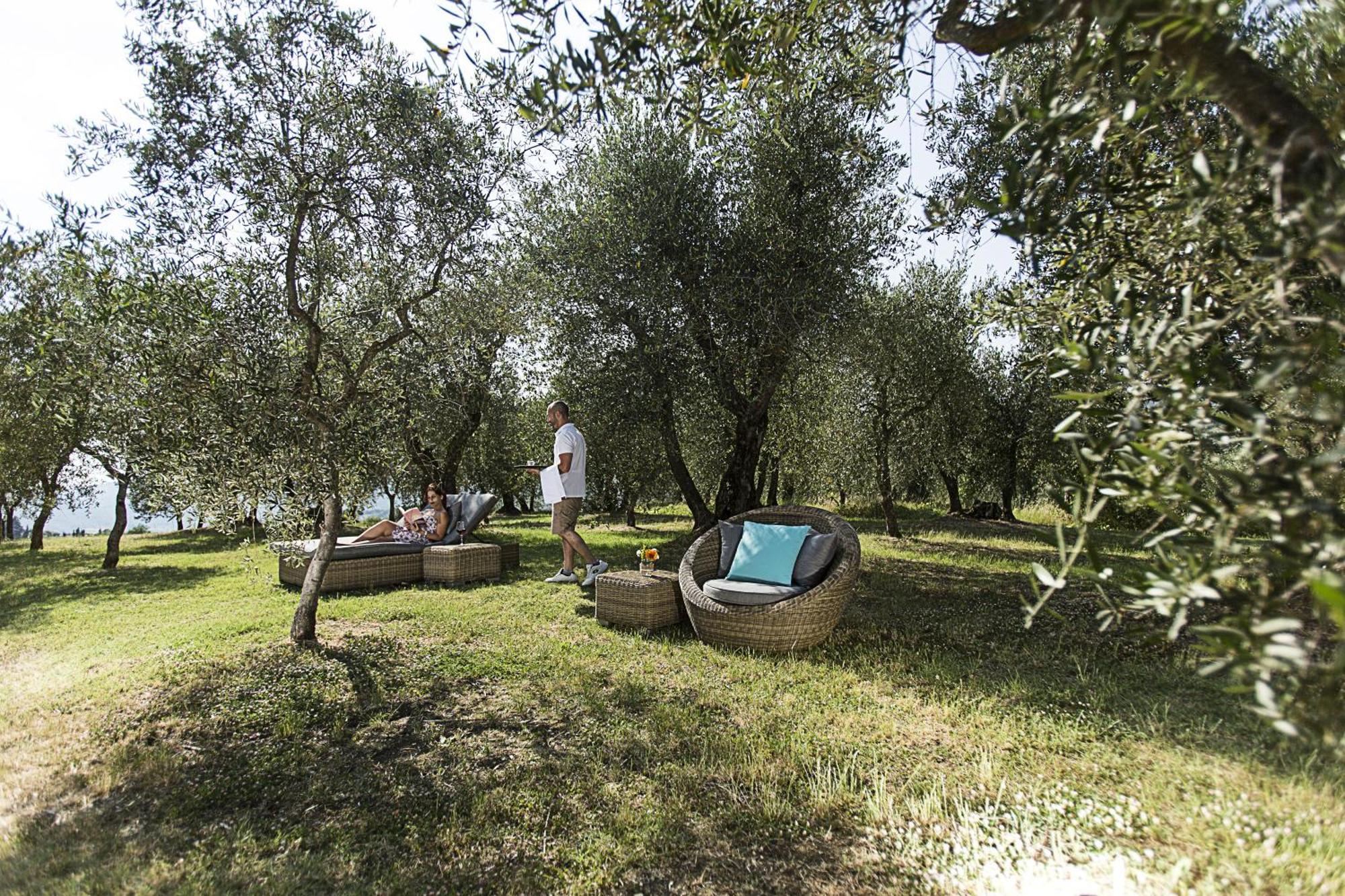 Agriturismo Fattoria Lavacchio Pontassieve Dış mekan fotoğraf