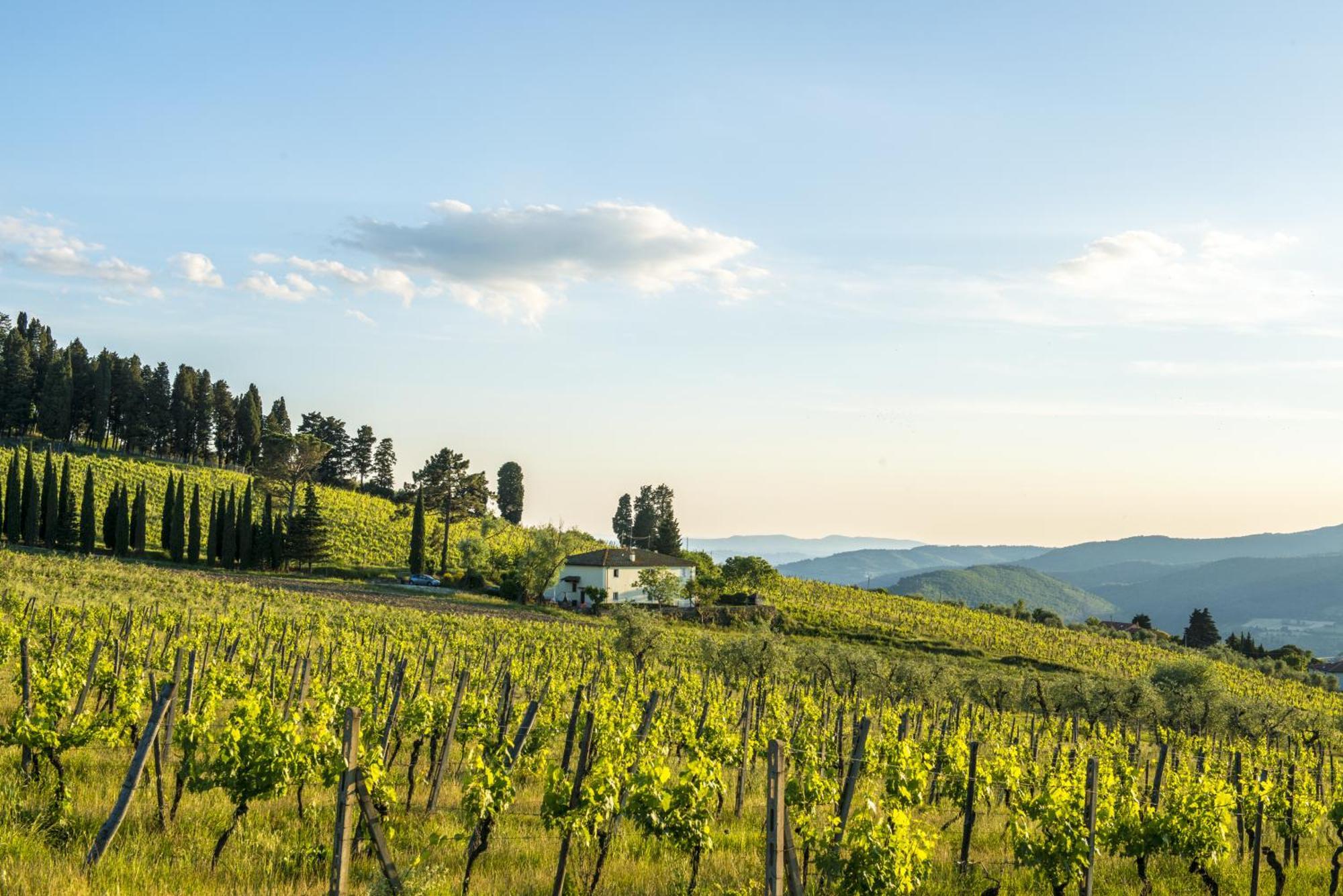Agriturismo Fattoria Lavacchio Pontassieve Oda fotoğraf