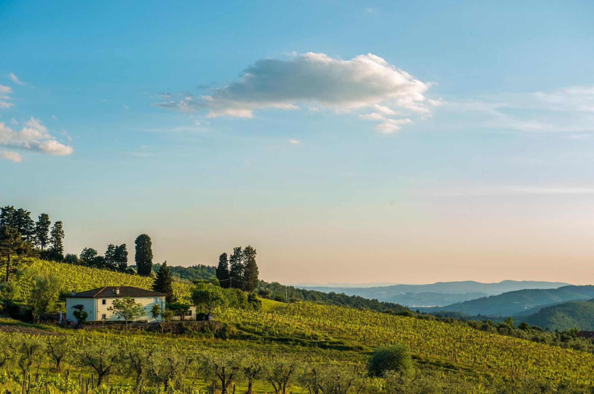 Agriturismo Fattoria Lavacchio Pontassieve Oda fotoğraf