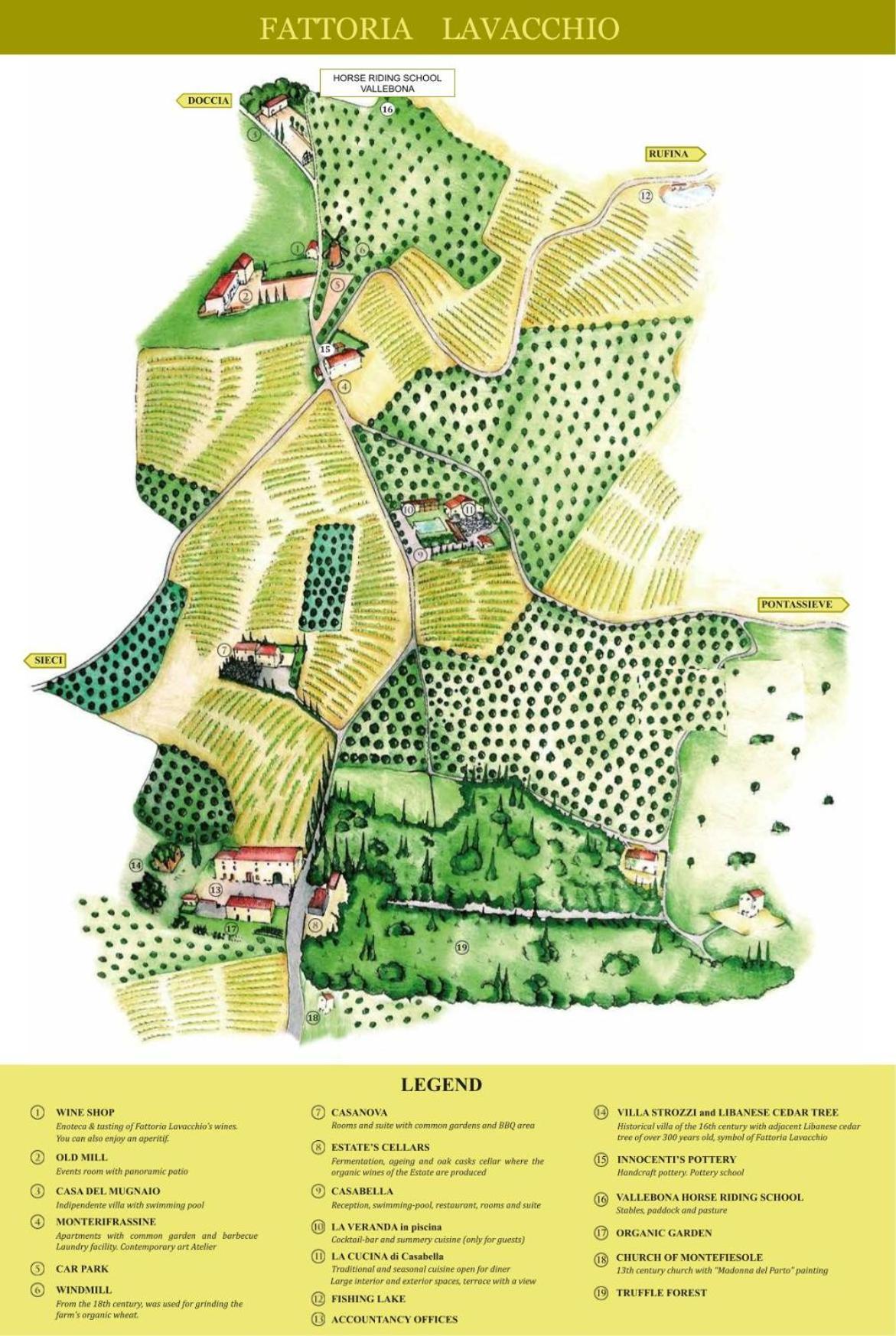 Agriturismo Fattoria Lavacchio Pontassieve Dış mekan fotoğraf